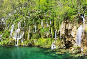 2019�й���������ѧ������¯������������������һ
