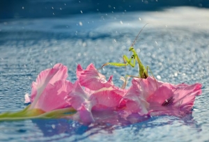 ��3������985ǿУʵ���ܸܵģ���Щ�������ٶȷǳ���