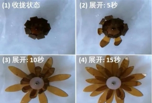 �����塷�е�����ڿƼ��������������о��Ŷ�ͻ����