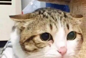 Ů��������ô��̽������������