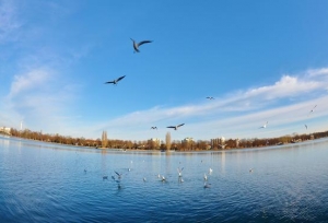 ��ι��˿���Ӣ�ﳤ�Ѿ䣿����Ϊ�̣�����Ϊ��
