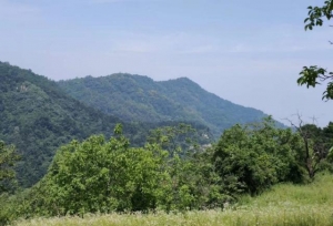 ������������ίԱ��ֱ������Ψһһ���ص��ѧ