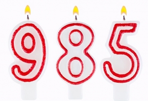 985��211��ѧ���Ʊ�ҵ������ҵ����ϲ����ʲô��