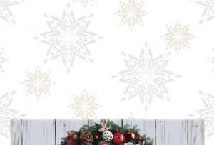 ��������ҹ�漧������12��ʥ������������ֽ����