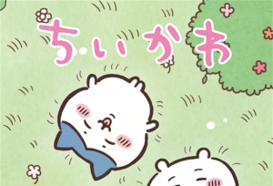 ������Chiikawa�����Ӿ�ͼ����